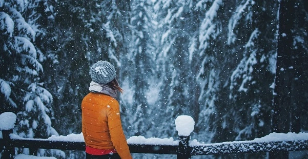 Zlatar planina priroda zima